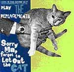 sorry_ma_cat